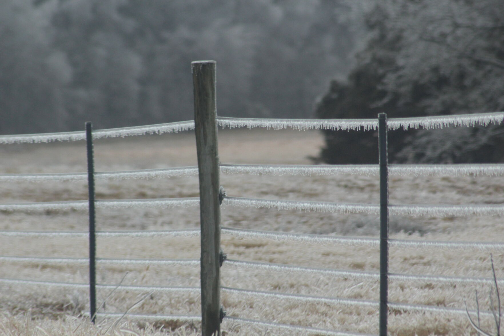 Icy fence on Clays Mill Road